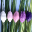 ceramic tulips on wire stem - pastel colour collection