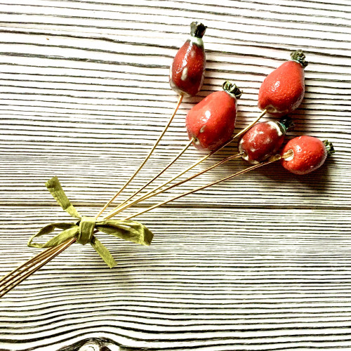 5 x Red Rosehip bunch