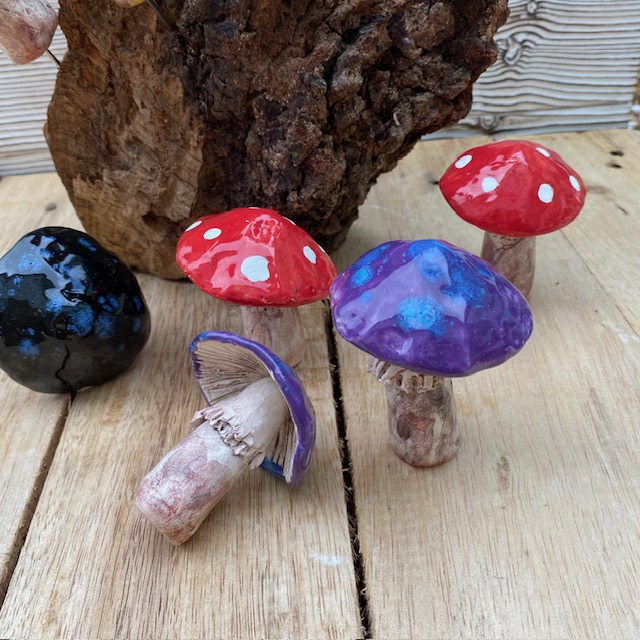 5 ceramic fungi grouped to show the various colours they are available in